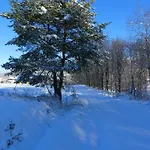 Alojamento de Turismo Rural Orange Wysowa-Zdrój