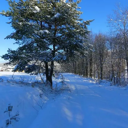 팜스테이 Orange Wysowa-Zdrój