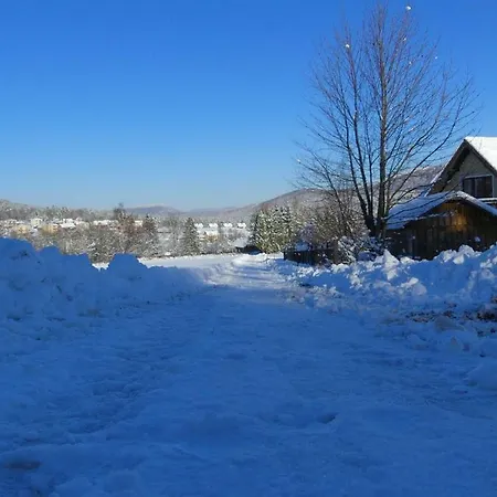 팜스테이 Orange *